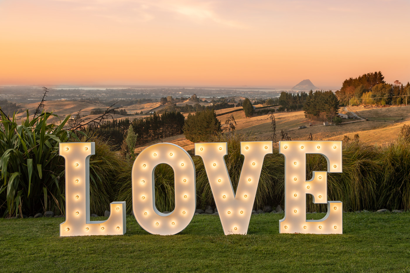 Marquee Letter HireLOVE